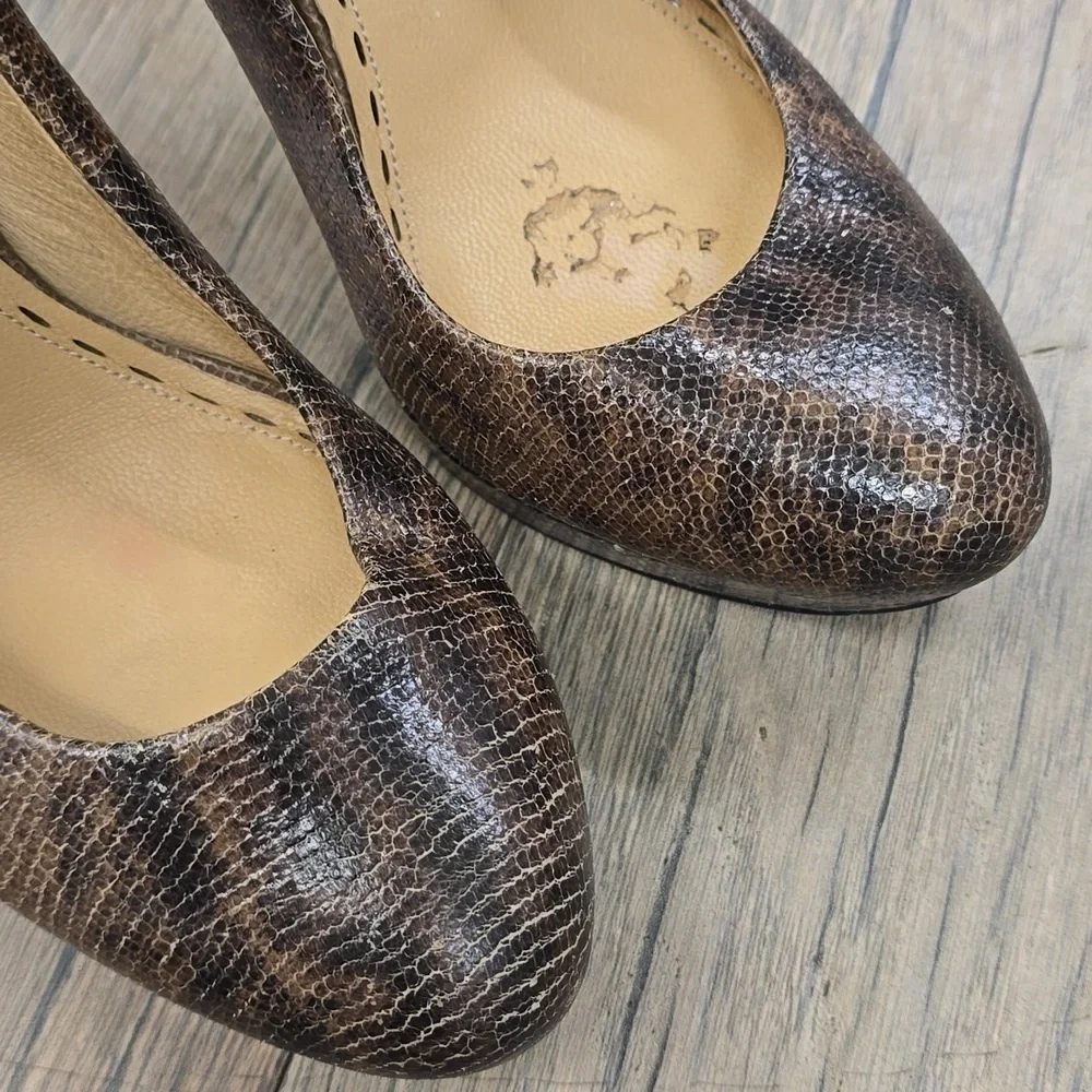 Coach Daisee Printed Lizard‎ Heels, 9.5​